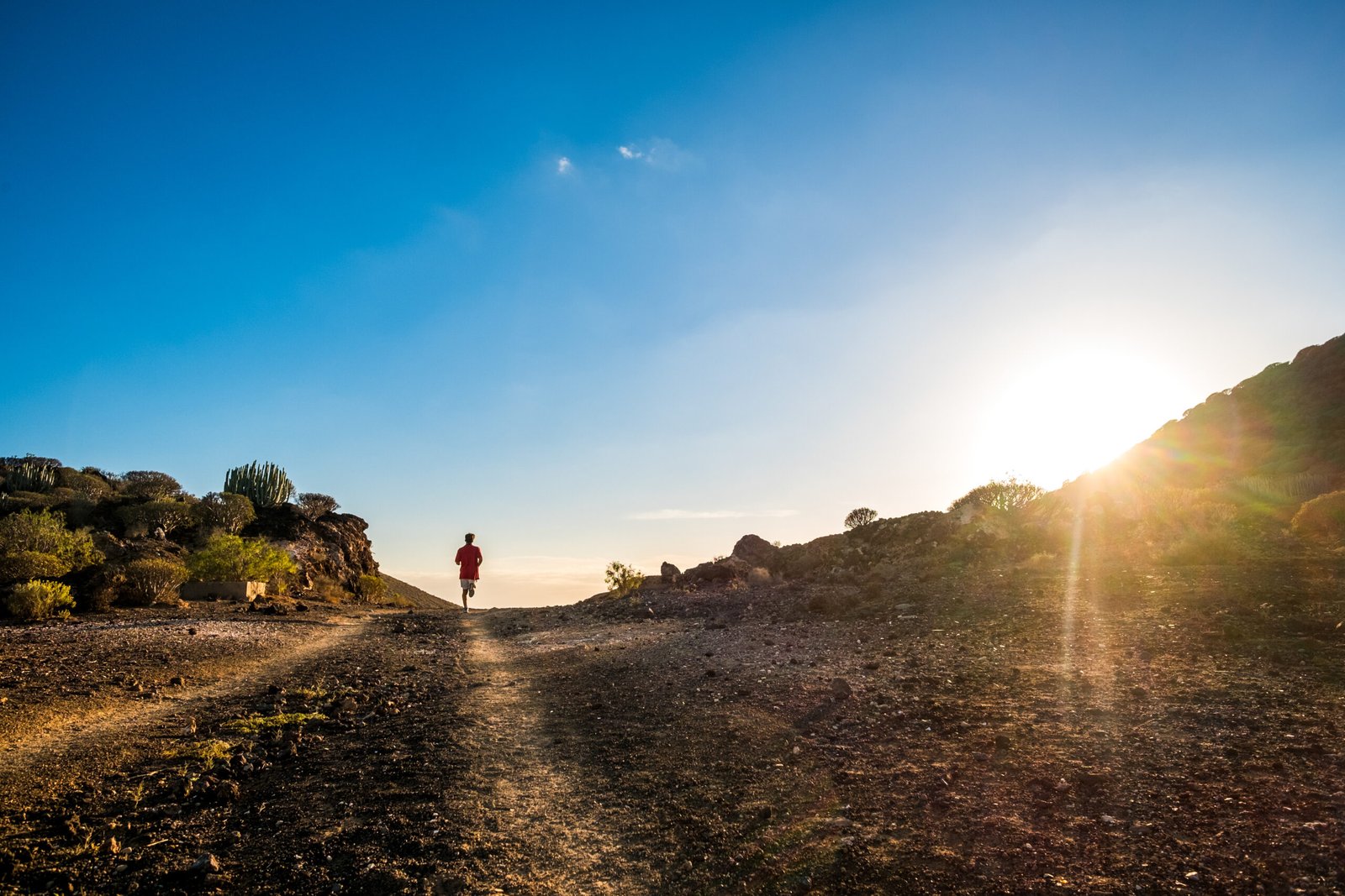 Incredible Benefits of Trail Running